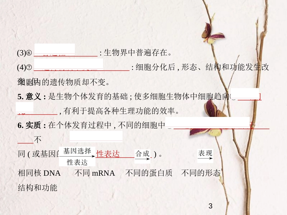 （新课标）2019版高考生物一轮复习 专题8 细胞的分化、衰老、凋亡和癌变课件_第3页