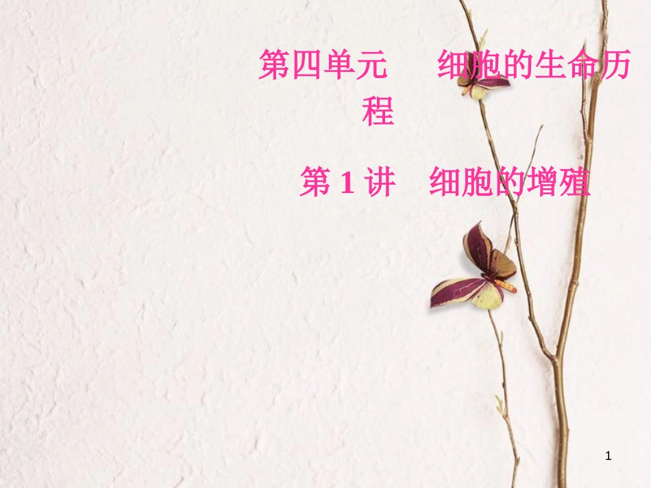 2019版高考生物总复习 第四单元 细胞的生命历程 第1讲 细胞的增殖课件_第1页