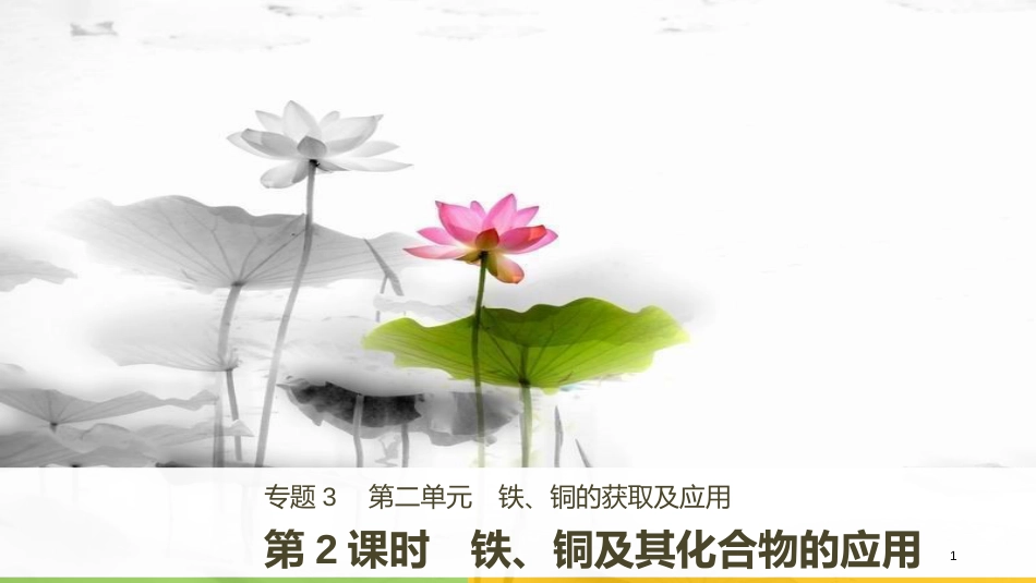 高中化学 专题3 从矿物到基础材料 第二单元 铁、铜的获取及应用 第2课时 铁、铜及其化合物的应用课件 苏教版必修1_第1页