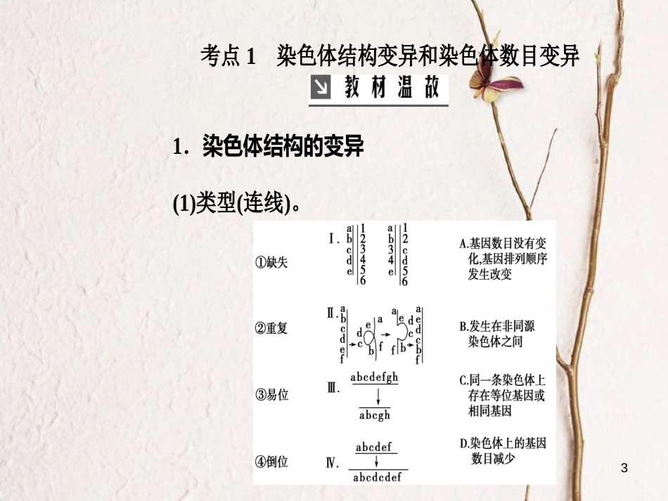 2019版高考生物总复习 第七单元 生物的变异、育种和进化 第2讲 染色体变异和育种课件_第3页