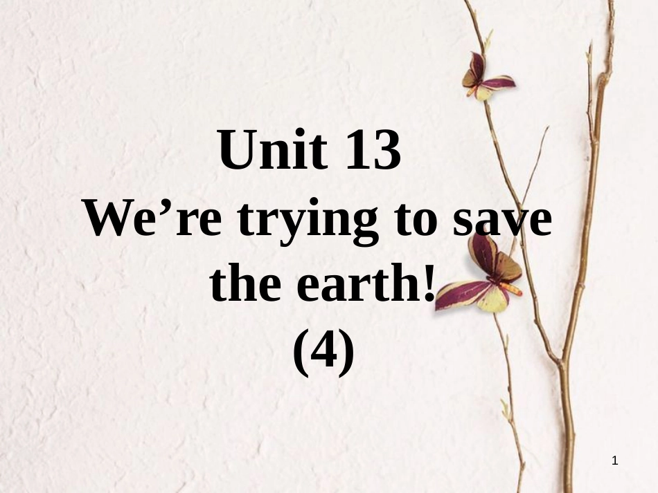 九年级英语全册 口译精练 Unit 13 We’re trying to save the earth(4)课件 （新版）人教新目标版_第1页