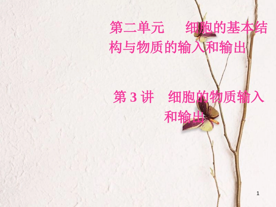 2019版高考生物总复习 第二单元 细胞的基本结构与物质的输入和输出 第3讲 细胞的物质输入和输出课件_第1页