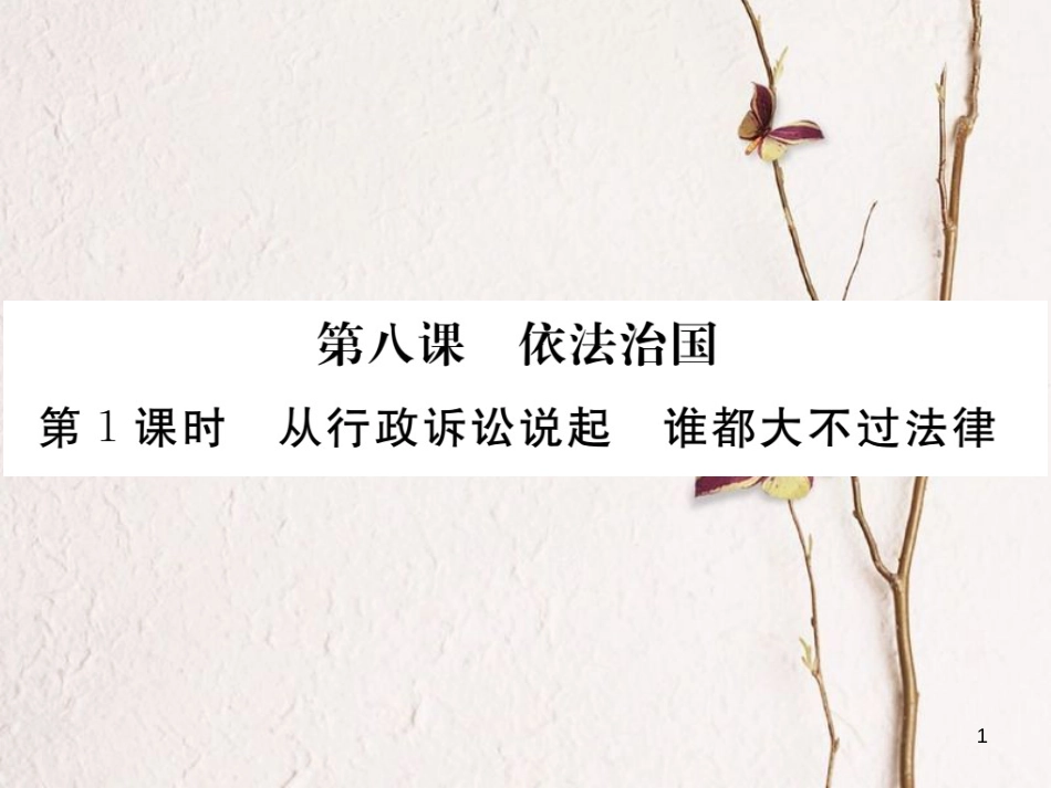 九年级政治全册 第三单元 法治时代 第八课 依法治国 第1框 从行政诉讼说起 谁都大不过法律课件 人民版_第1页