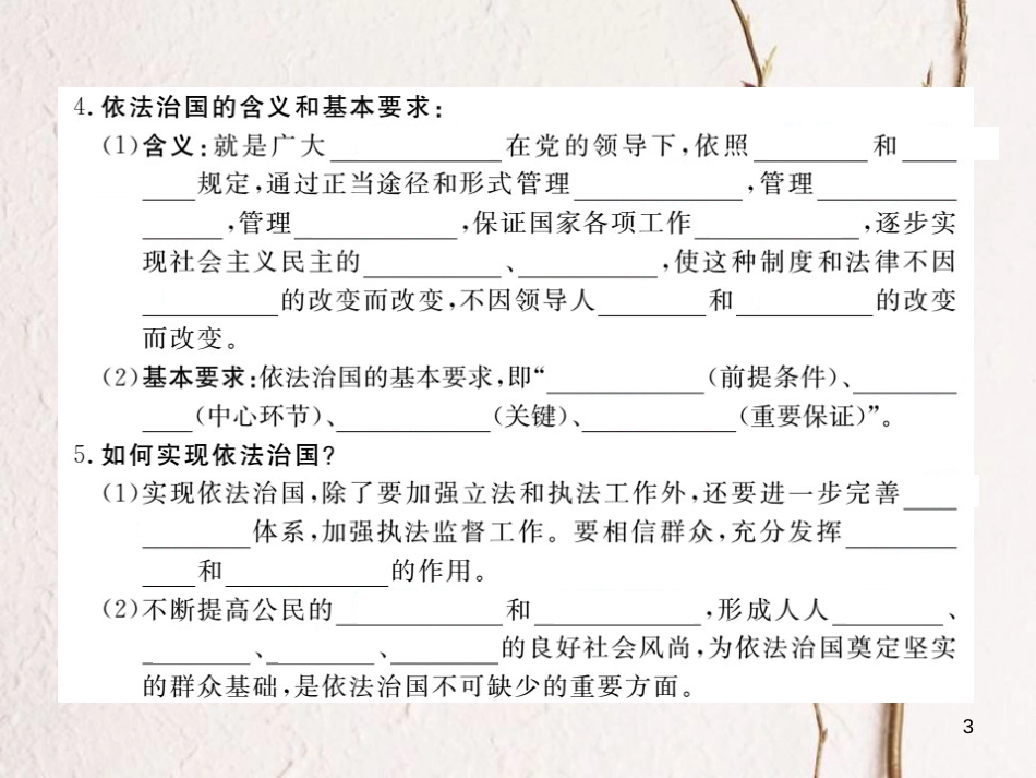 九年级政治全册 第三单元 法治时代 第八课 依法治国 第1框 从行政诉讼说起 谁都大不过法律课件 人民版_第3页