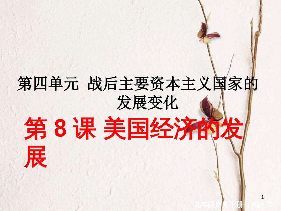 （安徽专版）九年级历史下册 第四单元 战后主要资本主义国家的发展变化 第8课 美国经济的发展同步测试课件 新人教版_第1页