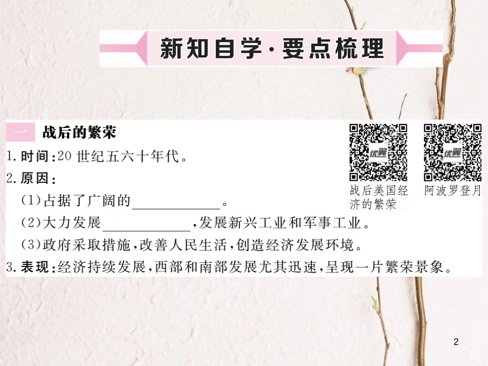 （安徽专版）九年级历史下册 第四单元 战后主要资本主义国家的发展变化 第8课 美国经济的发展同步测试课件 新人教版_第2页