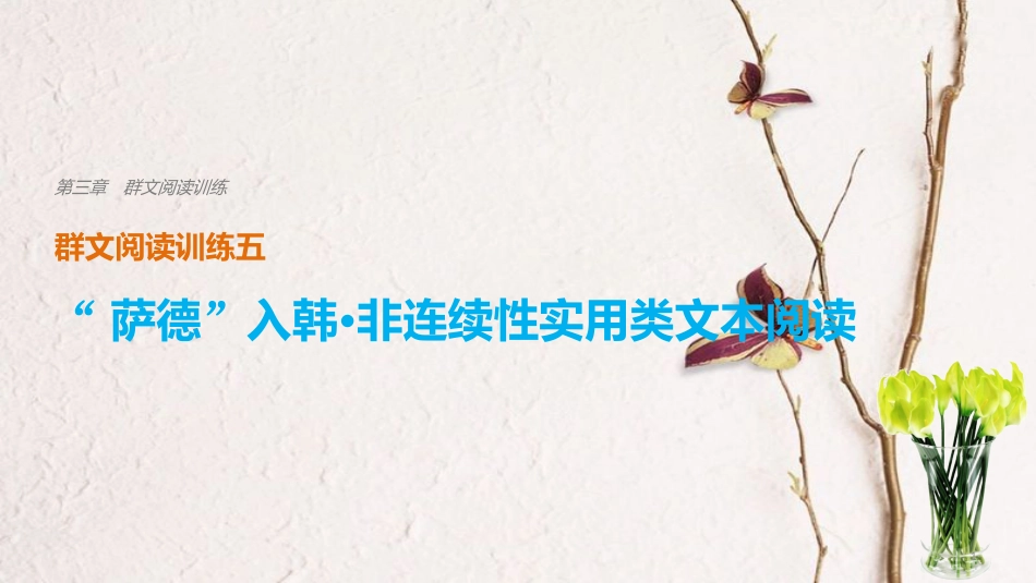 高考语文二轮复习 考前三个月 第三章 群文阅读训练五“萨德”入韩 非连续性实用类文本阅读课件_第1页