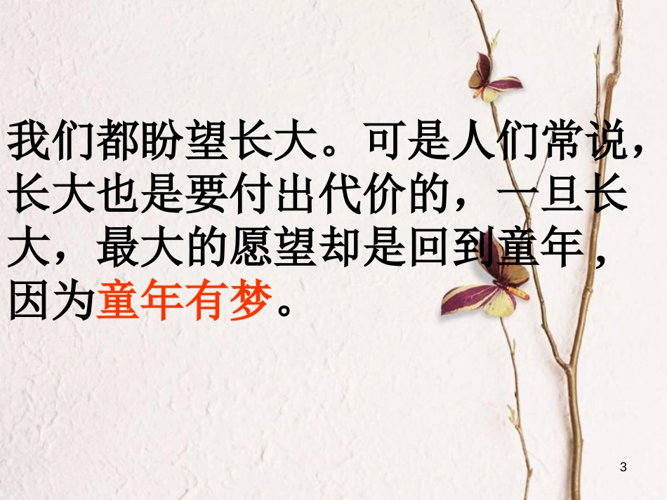 江苏省扬中市九年级语文下册 10 给我的孩子们课件 苏教版_第3页
