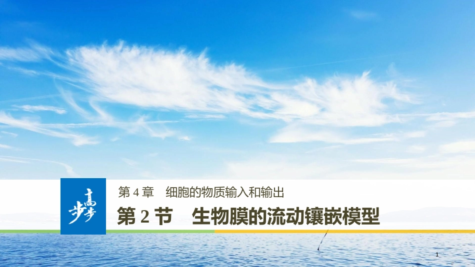 高中生物 第4章 细胞的物质输入和输出 第2节 生物膜的流动镶嵌模型课件 新人教版必修1_第1页