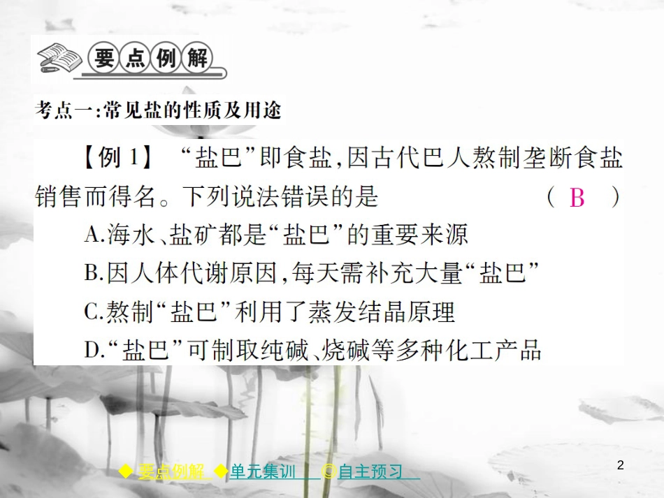 年春九年级化学下册 第十一章 盐 化肥单元小结课件 （新版）新人教版_第2页