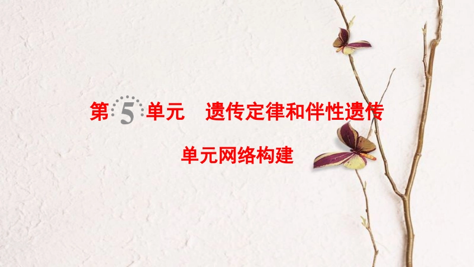 （全国版）2019版高考生物一轮复习 第5单元 遗传定律和伴性遗传单元网络构建课件_第1页