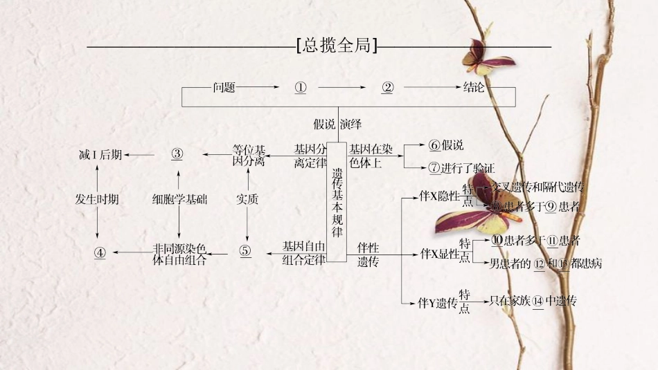 （全国版）2019版高考生物一轮复习 第5单元 遗传定律和伴性遗传单元网络构建课件_第2页