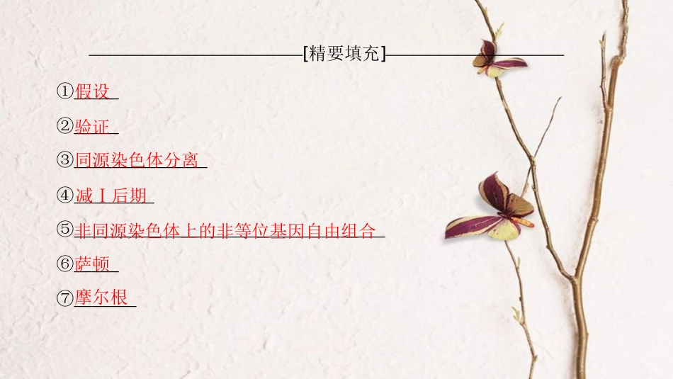 （全国版）2019版高考生物一轮复习 第5单元 遗传定律和伴性遗传单元网络构建课件_第3页