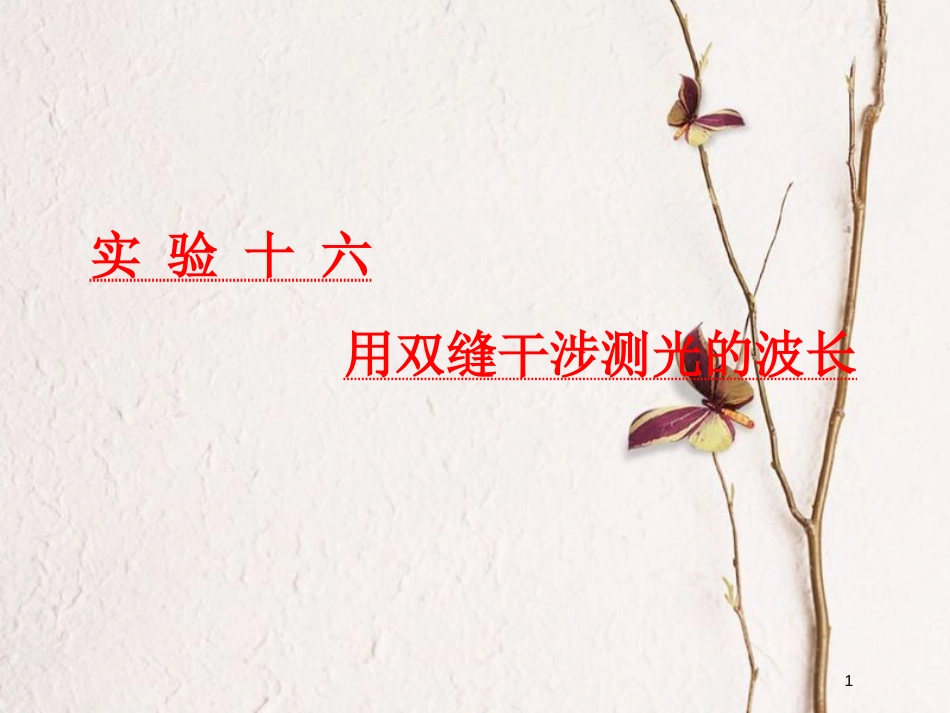 2019届高考物理一轮复习 第十四章 波与相对论 实验十六 用双缝干涉测光的波长课件_第1页