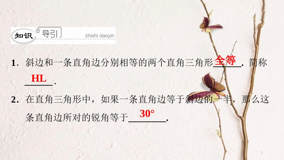 八年级数学下册 第一章 三角形的证明 1.2 直角三角形（2）典型训练课件 （新版）北师大版_第3页
