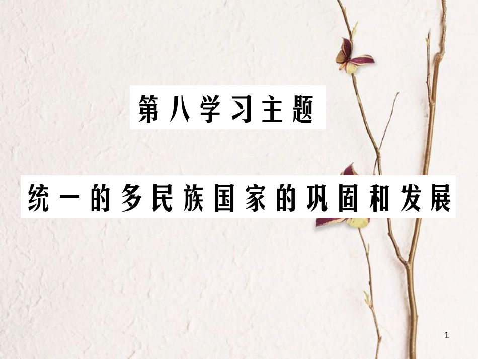 中考历史总复习 第一部分 中国古代史 第八学习主题 统一的多民族国家的巩固和发展课件_第1页