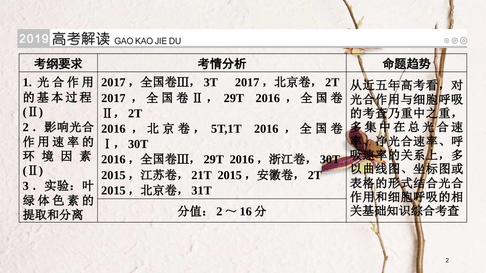2019版高考生物大一轮复习 第12讲 能量之源——光与光合作用优选课件_第2页