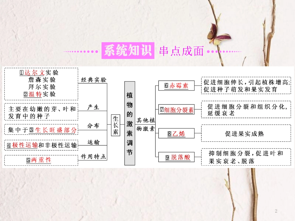 （全国通用）高考生物二轮复习 专题四 调节 串讲二 植物的激素调节 第1课时 基础自查课件_第2页