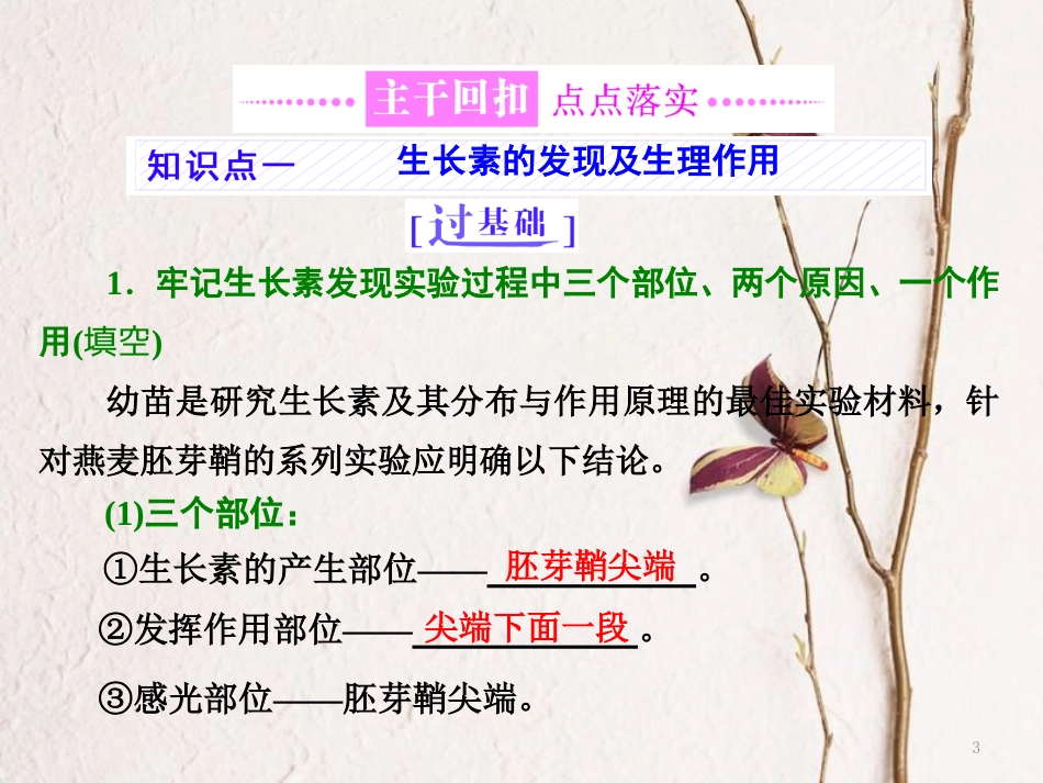 （全国通用）高考生物二轮复习 专题四 调节 串讲二 植物的激素调节 第1课时 基础自查课件_第3页