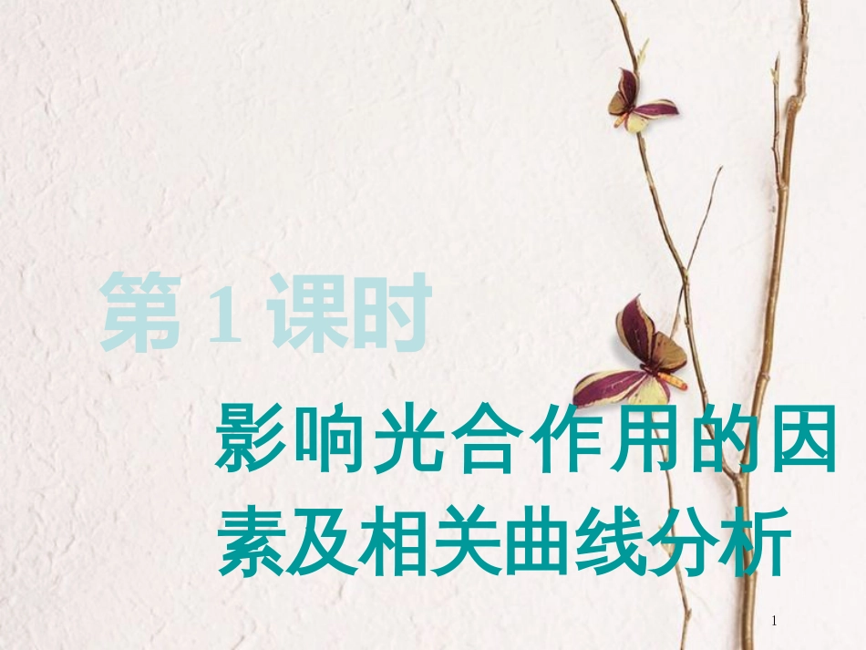 （全国通用版）2019版高考生物一轮复习 第1部分 分子与细胞 第三单元 细胞的能量供应和利用 第3讲 第2课时 影响光合作用的因素及相关曲线分析精准备考实用课件_第1页