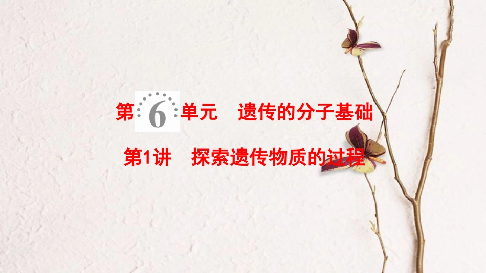 2019版高考生物一轮复习 第6单元 遗传的分子基础 第1讲 探索遗传物质的过程课件 苏教版_第1页