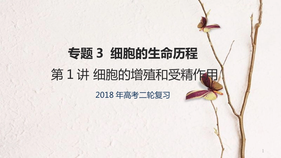 年高考生物二轮复习 专题3 细胞的生命历程 第1讲 细胞的增殖和受精作用课件_第1页