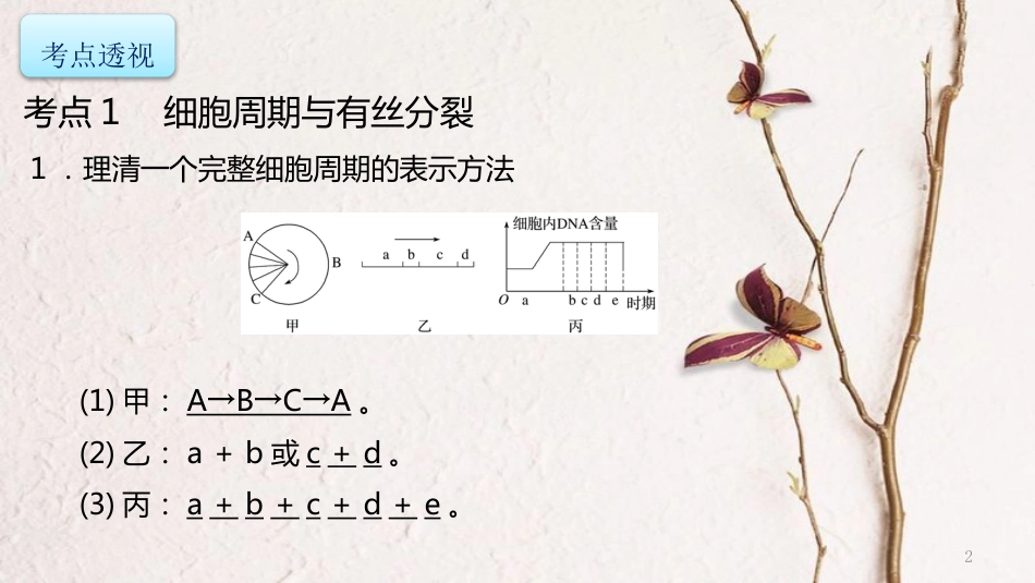 年高考生物二轮复习 专题3 细胞的生命历程 第1讲 细胞的增殖和受精作用课件_第2页