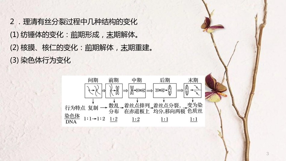 年高考生物二轮复习 专题3 细胞的生命历程 第1讲 细胞的增殖和受精作用课件_第3页