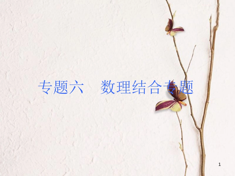 安徽省中考物理 题型训练（六）数理结合专题复习课件_第1页