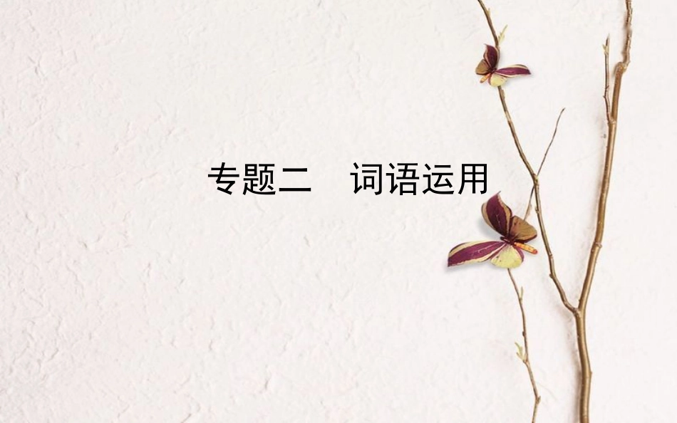 山东省德州市中考语文 专题复习二 词语运用课件_第1页