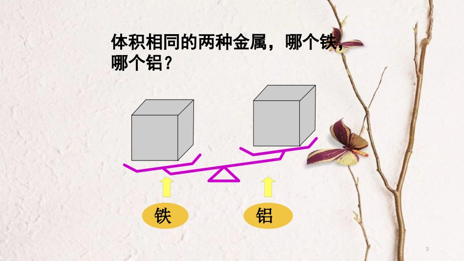 广东省河源市八年级物理上册 6.2 密度第一课时课件  （新版）新人教版_第3页