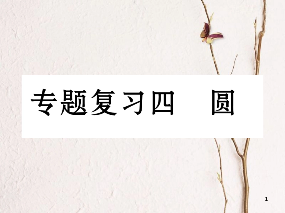 九年级数学下册 期末专题复习 专题复习4 圆作业课件 （新版）新人教版_第1页