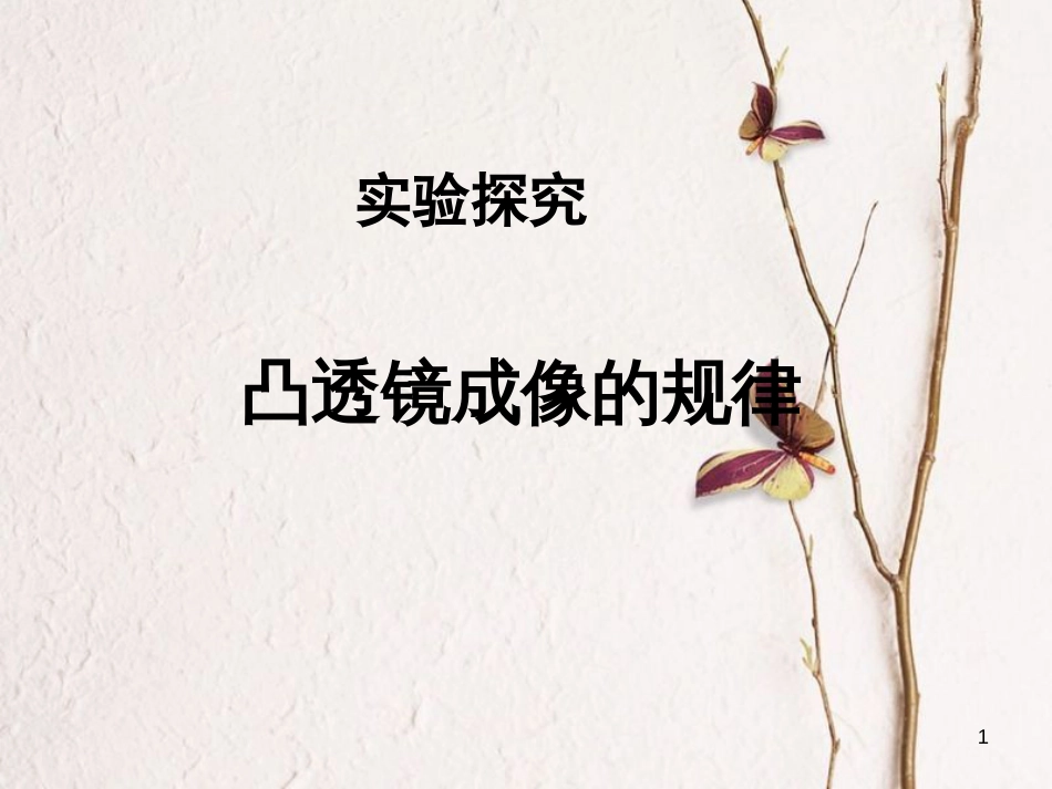 八年级物理上册 4.2《凸透镜成像的规律》课件2 鲁教版五四制_第1页