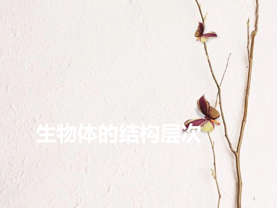 广东省中考生物 模块二 生物体的结构层次 第五课时 显微镜的使用课件_第1页