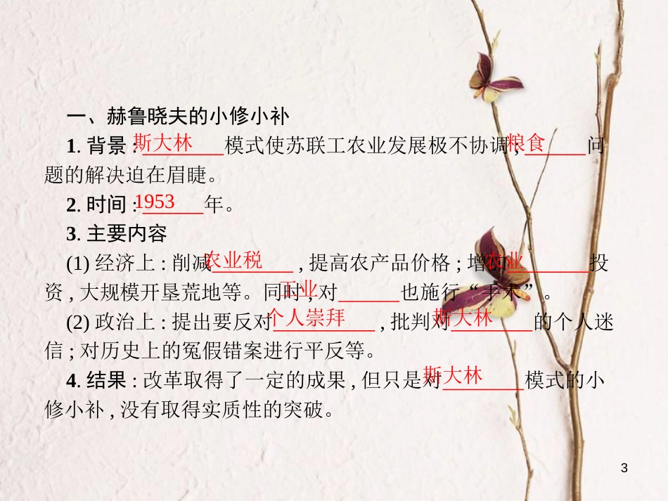 （福建专版）九年级历史下册 第三单元 两极下的竞争 12 苏东的艰难探索课件 北师大版_第3页