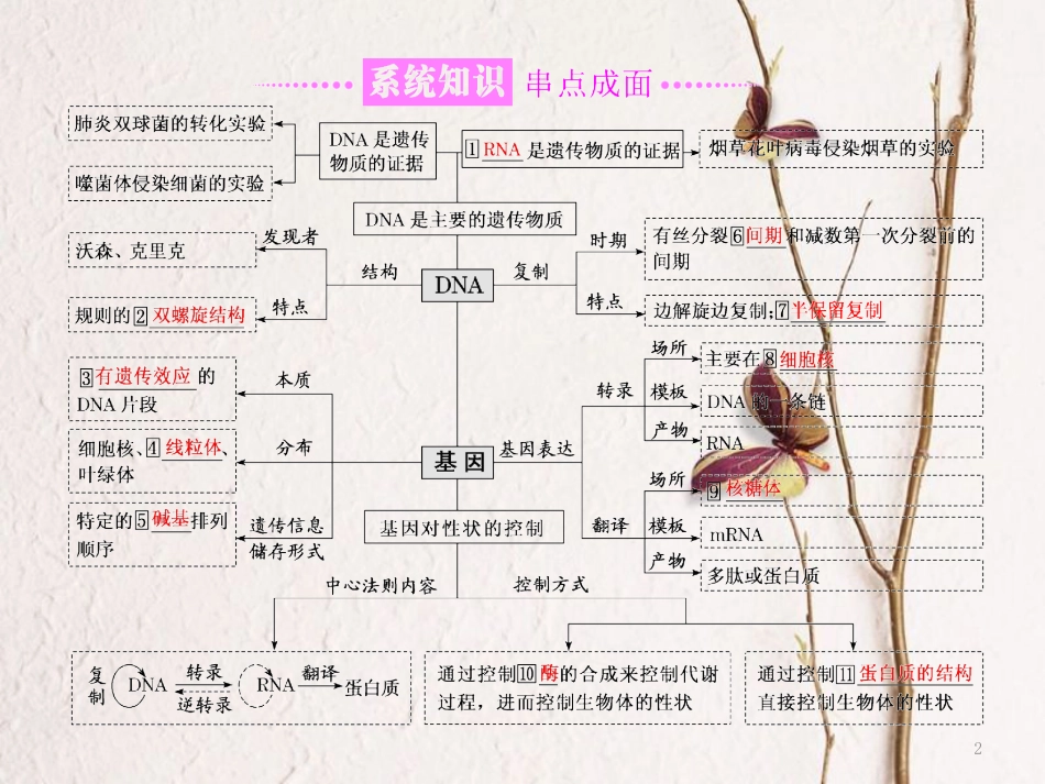 （全国通用）高考生物二轮复习 专题三 遗传 串讲一 遗传的分子基础 第1课时 基础自查课件_第2页