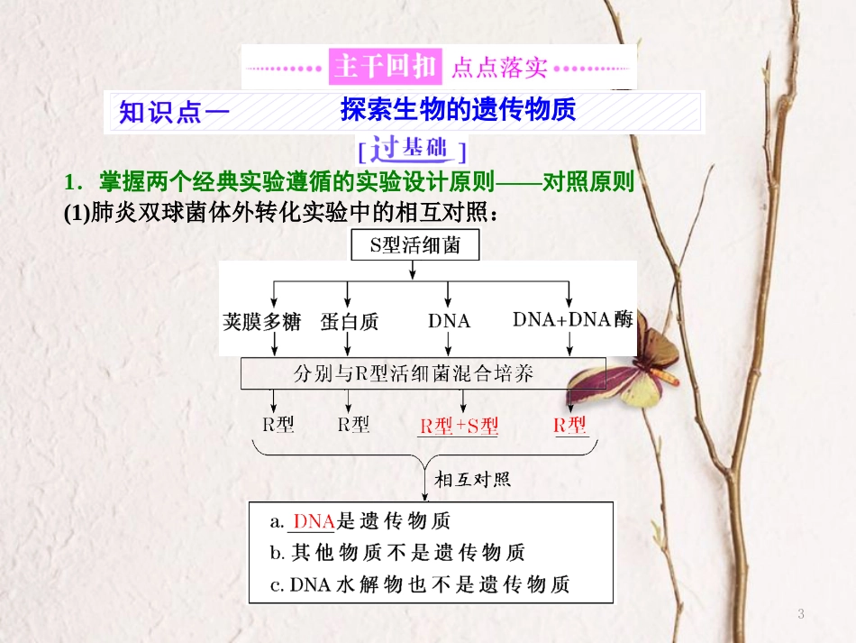 （全国通用）高考生物二轮复习 专题三 遗传 串讲一 遗传的分子基础 第1课时 基础自查课件_第3页