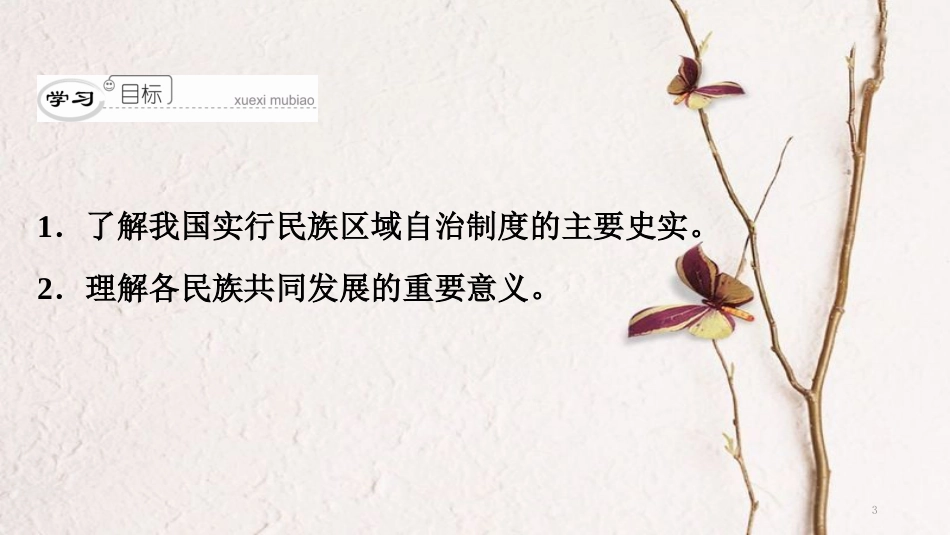 八年级历史下册 第三单元 建设中国特色社会主义 第14课 各民族的团结与发展课件 北师大版_第3页