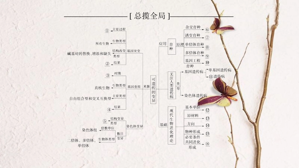 2019版高考生物一轮复习 第7单元 生物的变异、育种与进化单元网络构建课件 苏教版_第2页