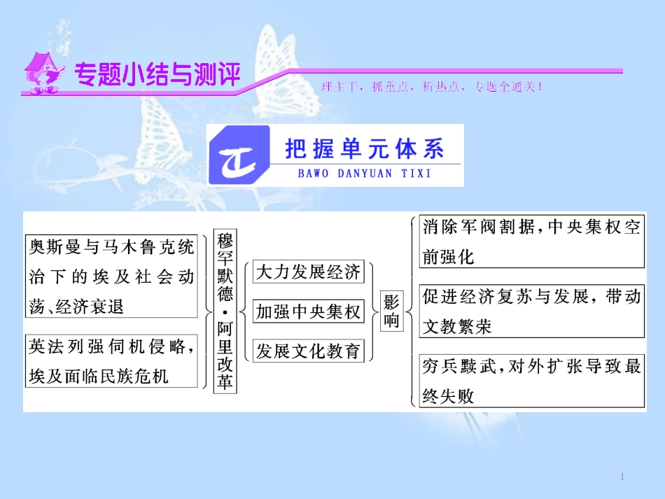 高中历史 专题六 穆罕默德&#8226;阿里改革专题小结与测评课件 人民版选修1_第1页