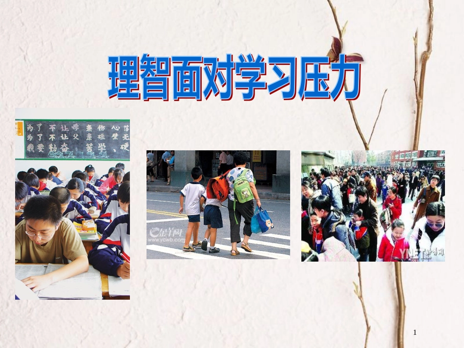 江西省九年级政治全册 第四单元 满怀希望 迎接明天 第十课 选择希望人生 第2框《理智面对学习压力》课件 新人教版_第1页