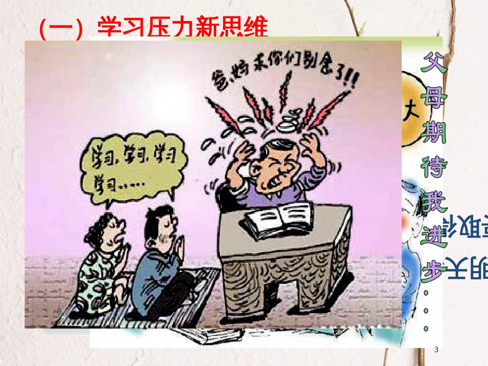 江西省九年级政治全册 第四单元 满怀希望 迎接明天 第十课 选择希望人生 第2框《理智面对学习压力》课件 新人教版_第3页