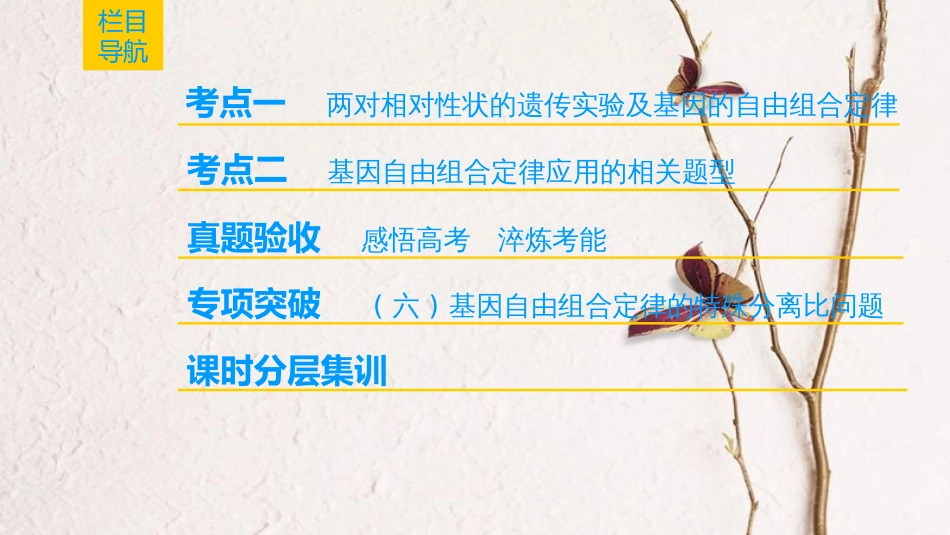（全国版）2019版高考生物一轮复习 第5单元 遗传定律和伴性遗传 第2讲 孟德尔的豌豆杂交实验(二)课件_第2页