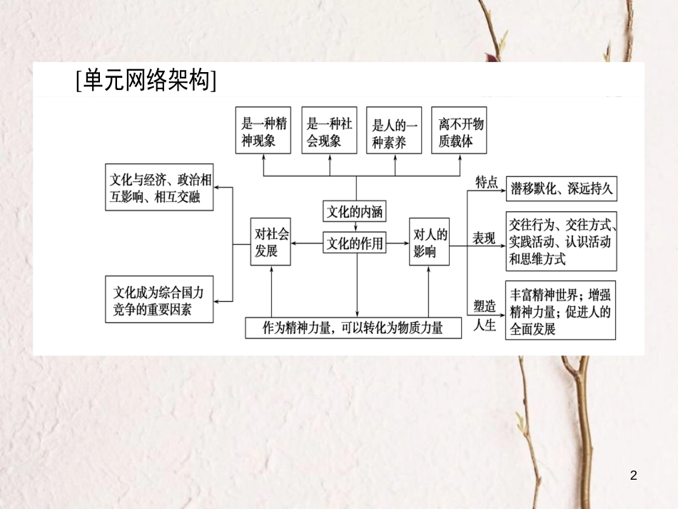 2019年高考政治一轮复习 单元复习讲座（九）课件 新人教版_第2页