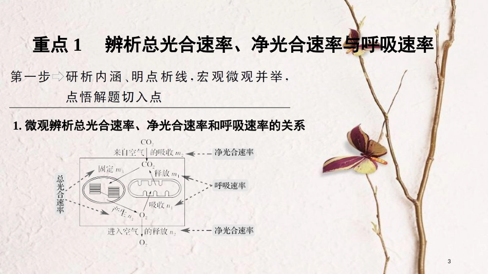 2019版高考生物一轮复习 第三单元 细胞的新陈代谢 补上一课2“三率”测定及相关实验设计创新备考课件 中图版_第3页