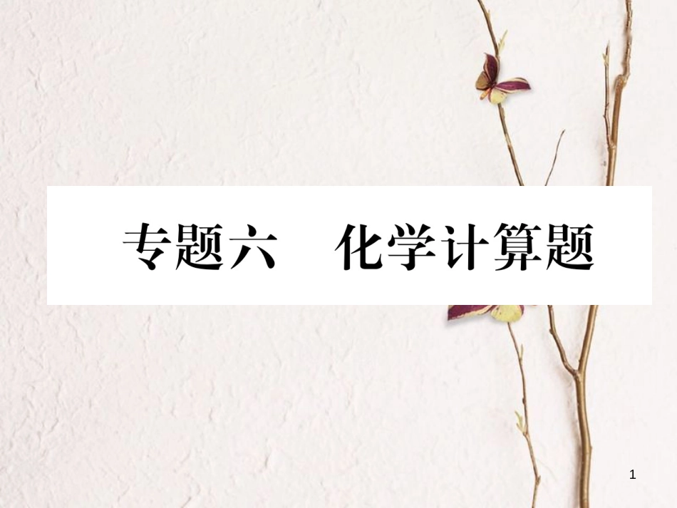 （青海专版）中考化学复习 第2编 重点题型突破篇 专题6 化学计算题（精讲）课件_第1页