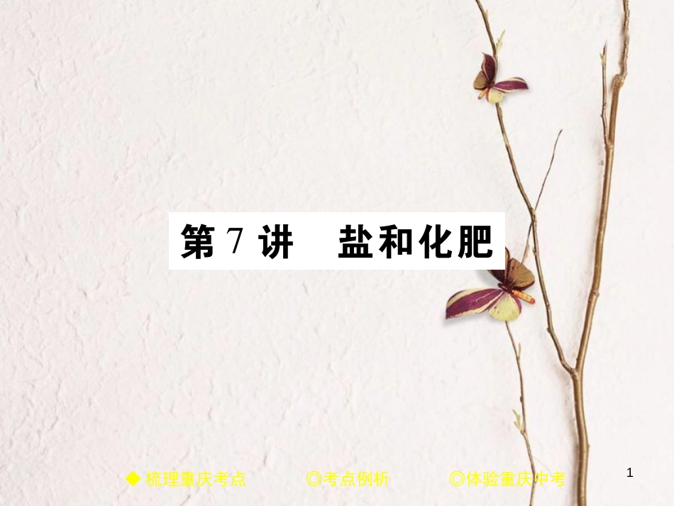（重庆专版）中考化学总复习 第一篇 教材知识梳理 模块一 常见的物质 第7讲 盐和化肥课件_第1页
