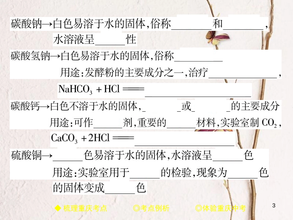 （重庆专版）中考化学总复习 第一篇 教材知识梳理 模块一 常见的物质 第7讲 盐和化肥课件_第3页