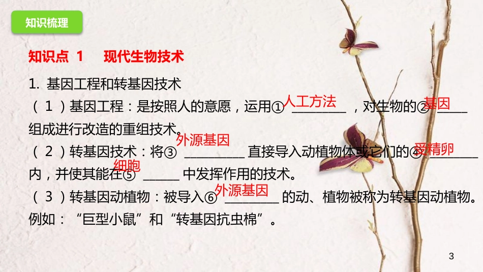 八年级生物下册 6.4现代生物技术课件 （新版）冀教版_第3页