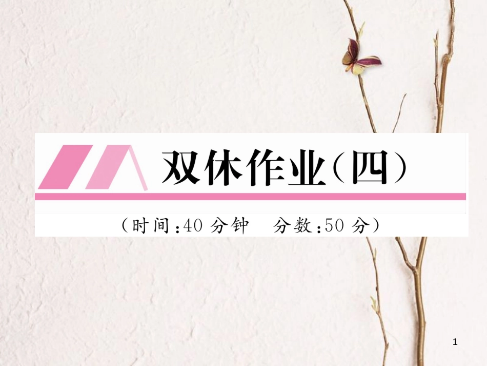 九年级化学下册 双休作业（四）作业课件 （新版）新人教版_第1页